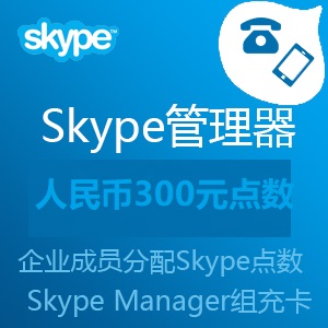 点击购买Skype管理器300元CNY点数充值卡