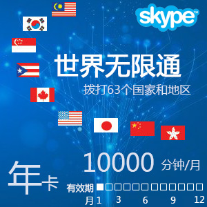 点击购买Skype世界通12000分钟年卡(包含中国大陆手充值卡