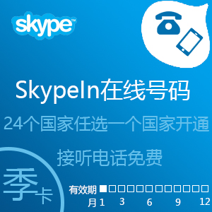 点击购买Skypein在线号码季卡(在线联系客服）充值卡